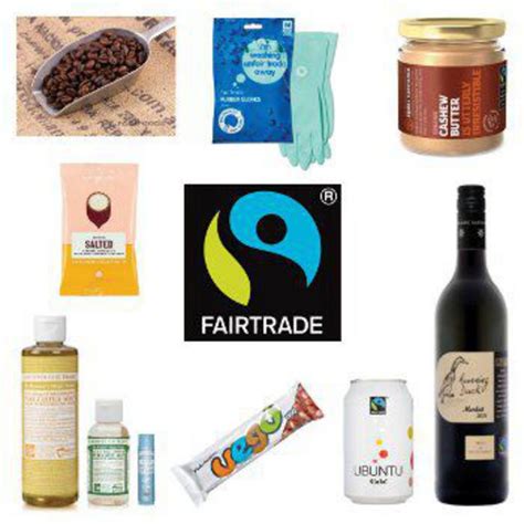 fair trade gomovies|Sort by Popularity .